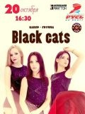 Black Cats — певец, музыкальные группы, шоу (Тольятти)
