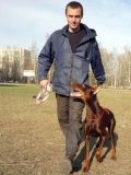 Шигаев Роман Николаевич — кинолог, дрессировщик (Тольятти)